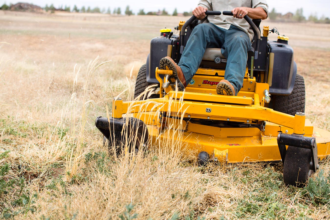 Commercial Landscaping Business, in Prescott AZ by Titan Landscape Management