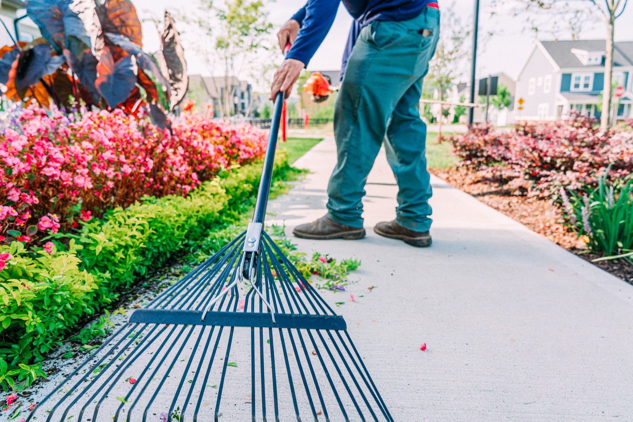 Commercial Landscape Maintenance in Prescott, AZ