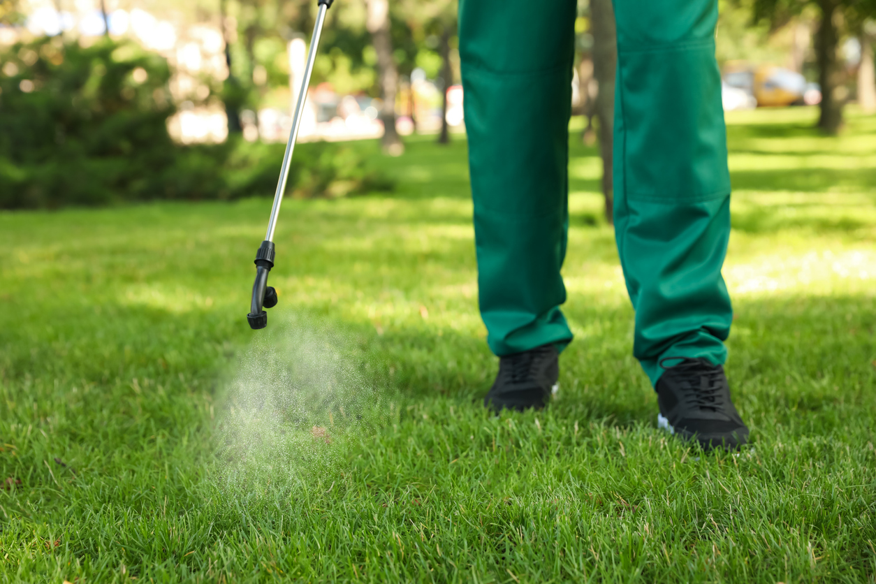 Commercial Weeding & Spraying in Prescott, AZ by Titan Landscape Management