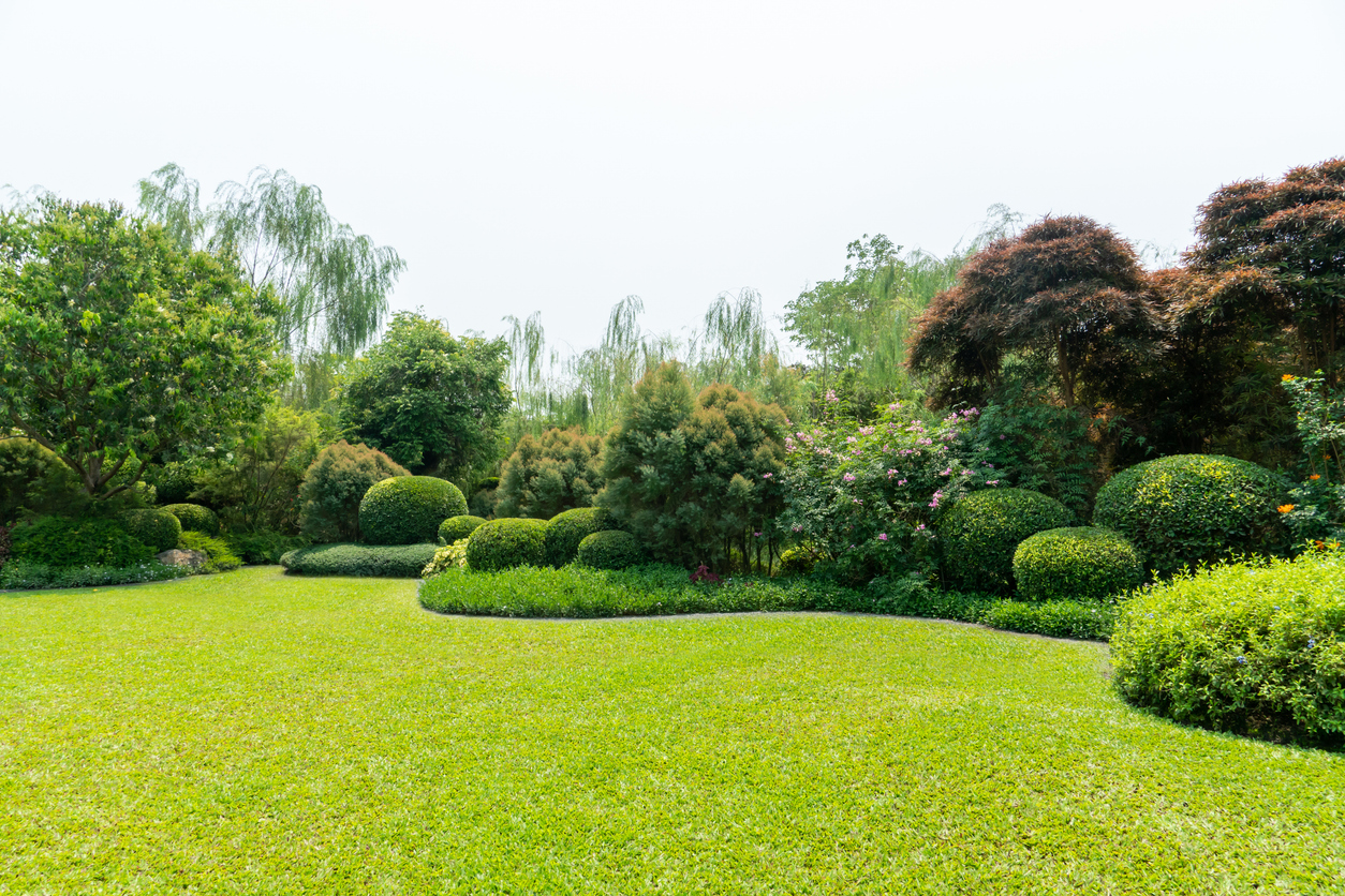 Contact Us in Prescott, AZ, by Titan Landscape Management Contact Us in Prescott, AZ, by Titan Landscape Management
