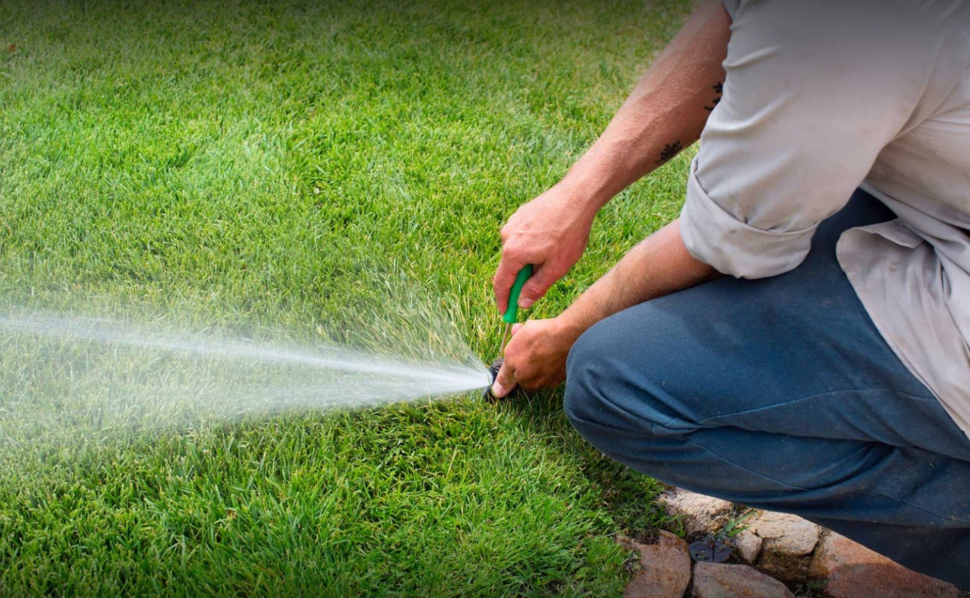 Lawn maintenance Businesses by Titan Landscape Management